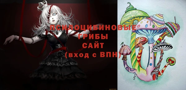 spice Володарск