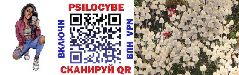 omg сайт Дивногорск Псилоцибиновые грибы GOLDEN TEACHER